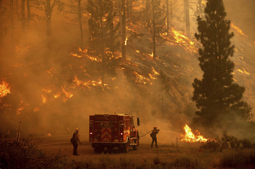 wild fire forest fire gas detector air quality